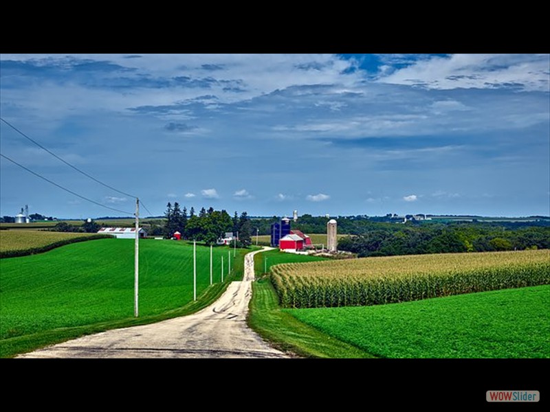 Panaramic farm view