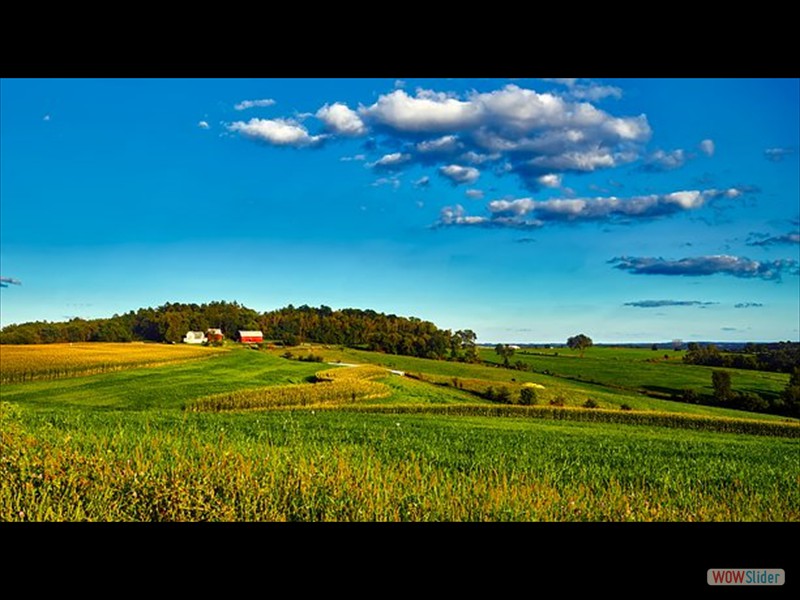 Wisconsin landscape