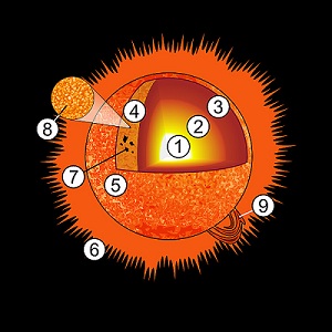 Inner Sun